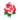 Red Peony PC Icon.png