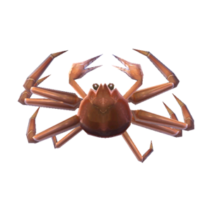 Snow Crab NL Model.png