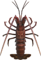 Spiny Lobster NH.png