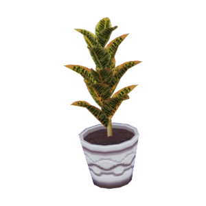 Croton CF Model.png