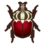 Goliath Beetle NH Icon.png