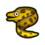 Moray eel