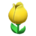 Tulip surprise box's Yellow variant