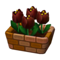Black Tulips NL Model.png