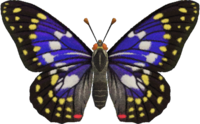 Artwork of Great Purple Emperor Purple Butterfly