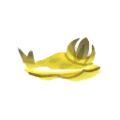 Honey Sea Slug PC Icon.png