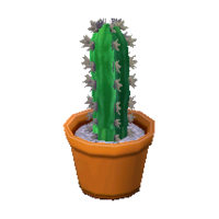 Tall mini cactus