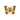 Brown Checkerfly PC Icon.png