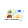 pocket magazine