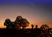 Fishing at Dusk DnM Artwork.jpg