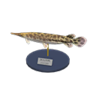 gar model