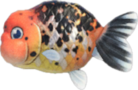 Artwork of Ranchu Goldfish