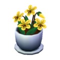 Yellow Violets NL Model.png