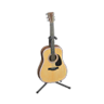acoustic guitar