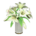 Casablanca lilies's White variant