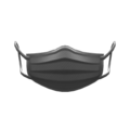 Pleated Mask (Black) NH Icon.png