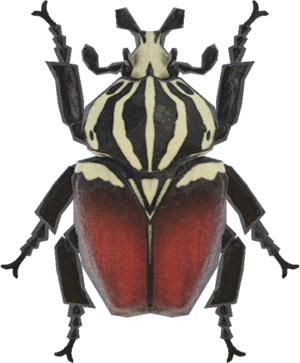 Goliath Beetle NH.png