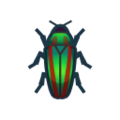 Jewel Beetle NH Icon.png
