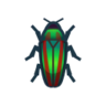 Jewel Beetle NH Icon.png
