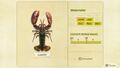 NH Critterpedia Lobster Southern Hemisphere.jpg