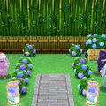 Bloomin' Hydrangea Park 3 PC HH Class Icon.png