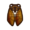 Brown Cicada