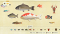 NH Fish Critterpedia Picture 2.png