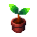Potted Sapling DnM Sprite Upscaled.png