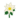 White Poinsettia PC Icon.png