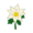 White Poinsettia PC Icon.png