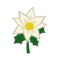 White Poinsettia PC Icon.png