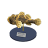 freshwater goby model