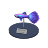 guppy model