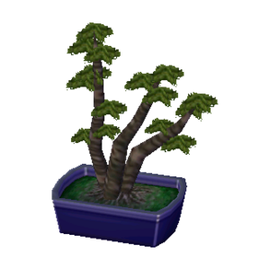 Mugho Bonsai NL Model.png