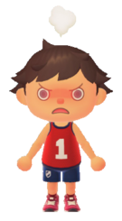 NH Player Aggravation.png