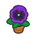 Purple-Pansy Plant NH Inv Icon.png