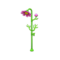 Cosmos Shower (New Horizons) - Animal Crossing Wiki - Nookipedia