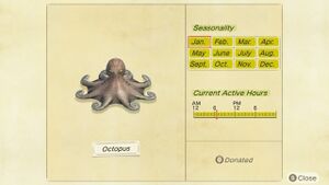 NH Critterpedia Octopus.jpg