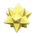 Nova light's Yellow variant