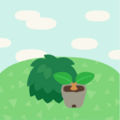 Plant Shrub Starts NH Nook Miles+ (Nature Day) Icon.png