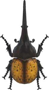 In-game image of horned hercules