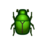 drone beetle