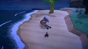 Nintendo Music ACNH Arachnid Attack.jpg