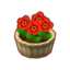 Potted Red Zinnias PC Icon.png