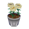 White Carnation CF Model.png