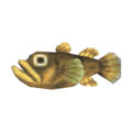 Freshwater Goby CF Model.png