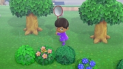 Nintendo Music ACNH 11 00 AM - Rainy.jpg