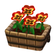 Orange Pansies NL Model.png