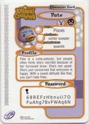 Animal Crossing-e 4-262 (Pate - Back).jpg
