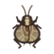 Bell Cricket NH Icon.png